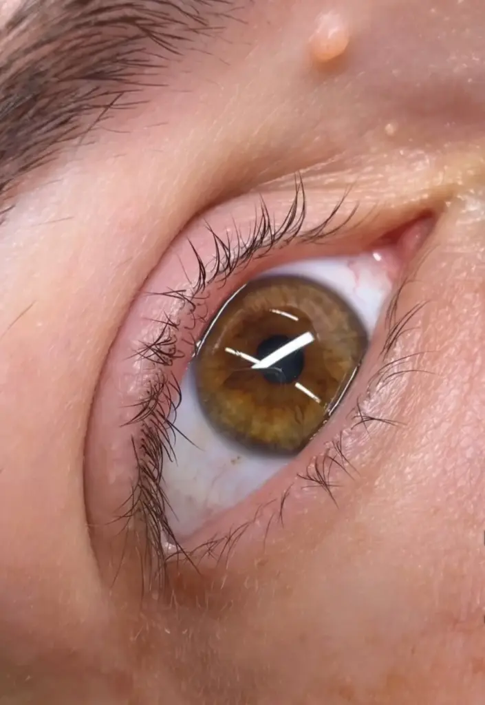 zeni nail spa eye liner